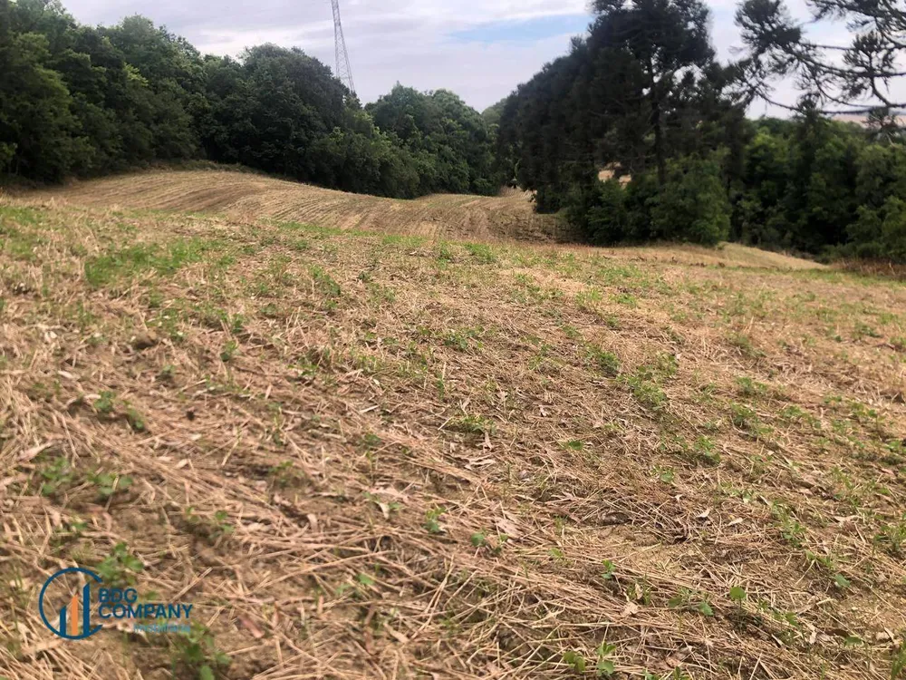 Terreno, 26 hectares - Foto 4