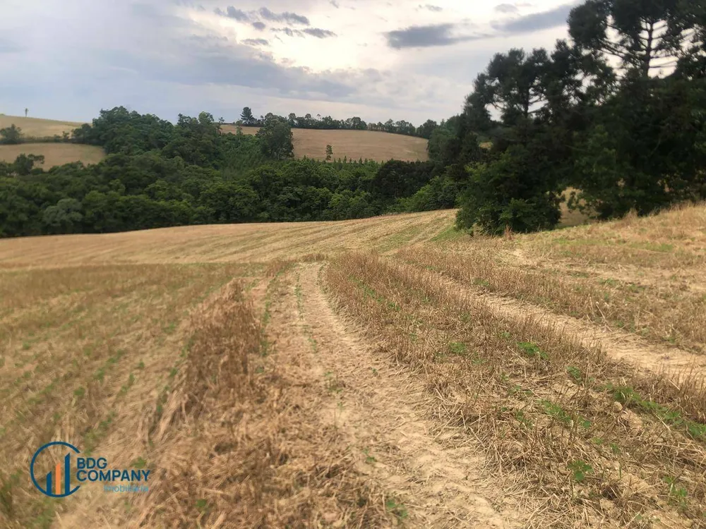 Terreno, 26 hectares - Foto 3