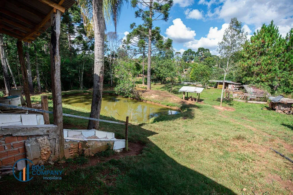 Chácara, 2 quartos, 2388 m² - Foto 4