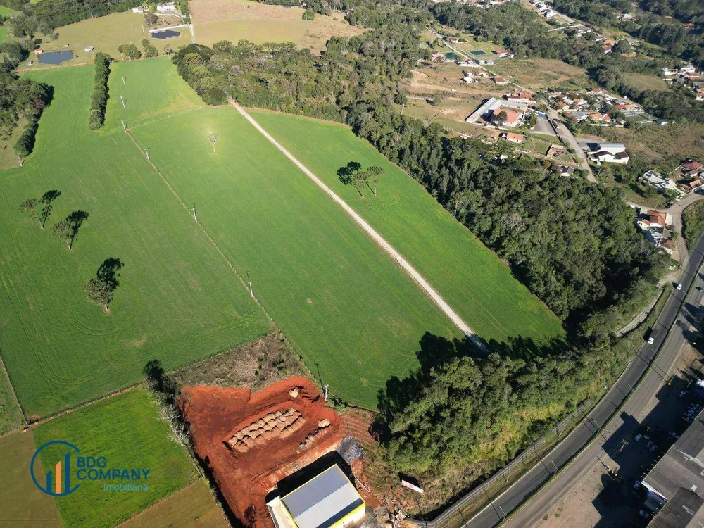 Terreno, 3 hectares - Foto 3