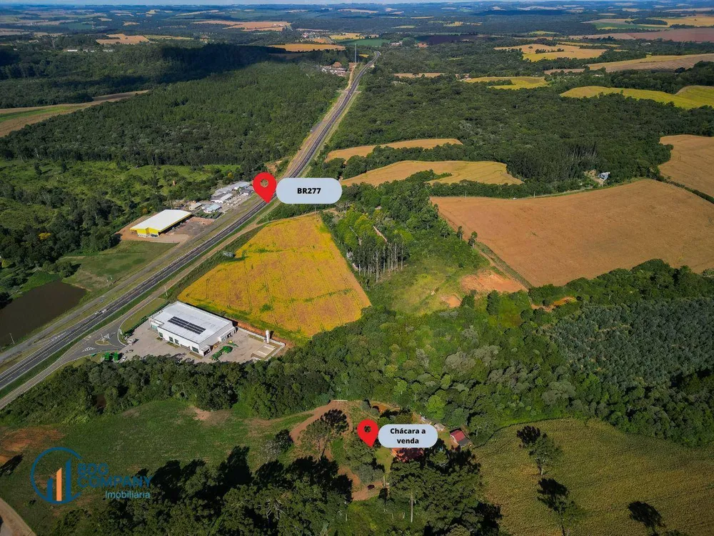 Chácara, 2 quartos, 5445 m² - Foto 4
