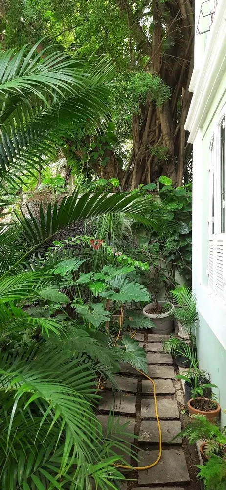 Casa, 4 quartos, 320 m² - Foto 16