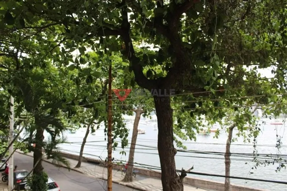 Casa, 5 quartos, 500 m² - Foto 3