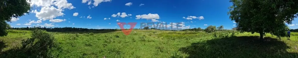 Fazenda, 126 hectares - Foto 16