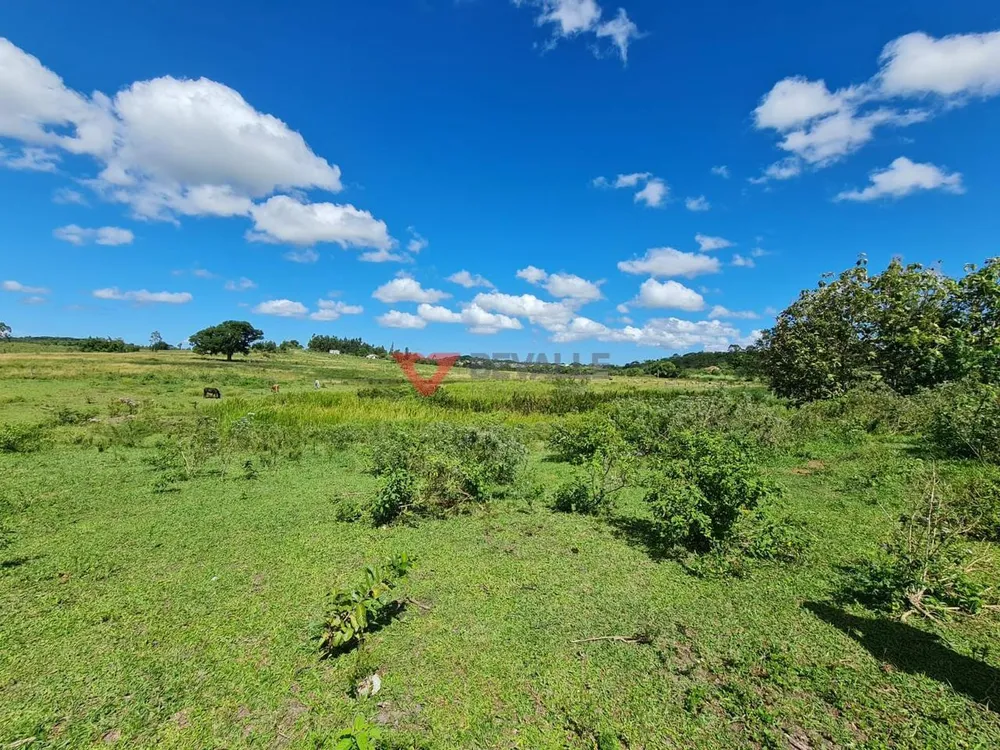 Fazenda, 126 hectares - Foto 10