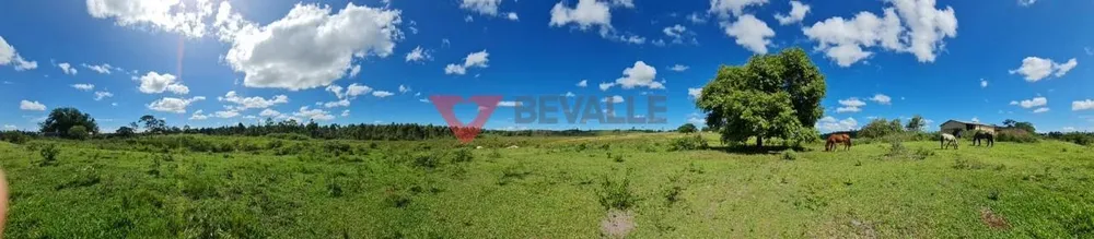 Fazenda, 126 hectares - Foto 24