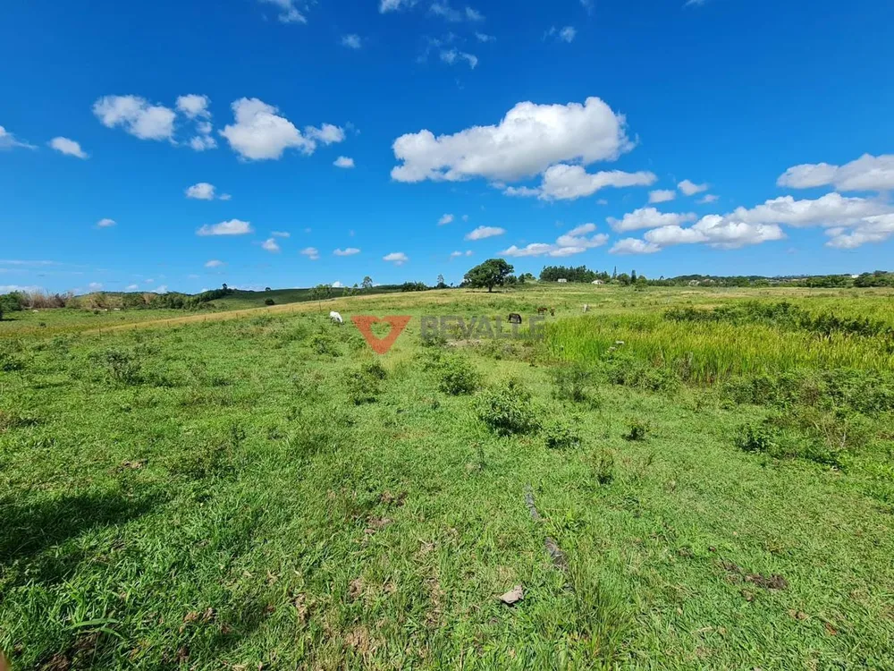 Fazenda, 126 hectares - Foto 4