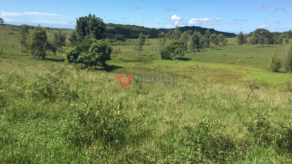 Fazenda, 126 hectares - Foto 38