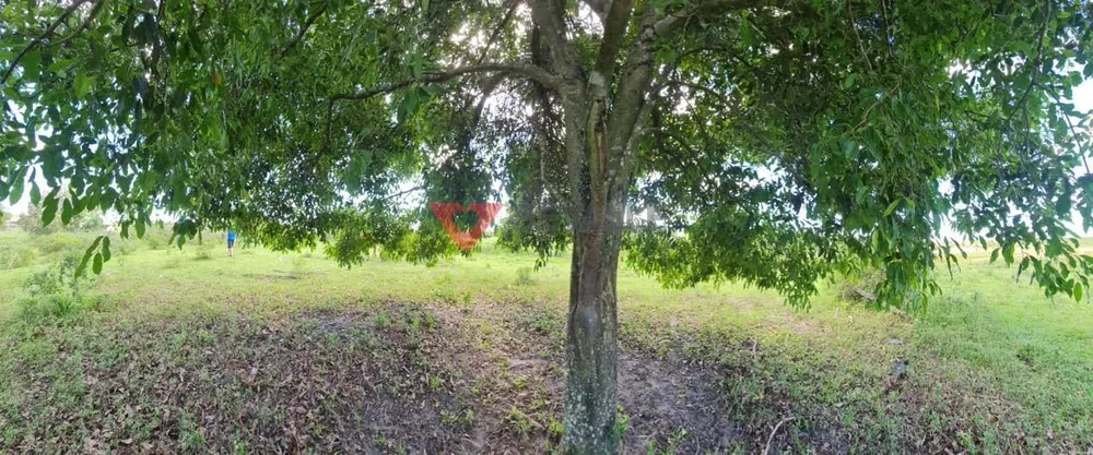 Fazenda, 126 hectares - Foto 11
