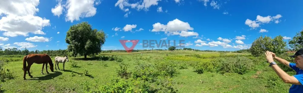 Fazenda, 126 hectares - Foto 7