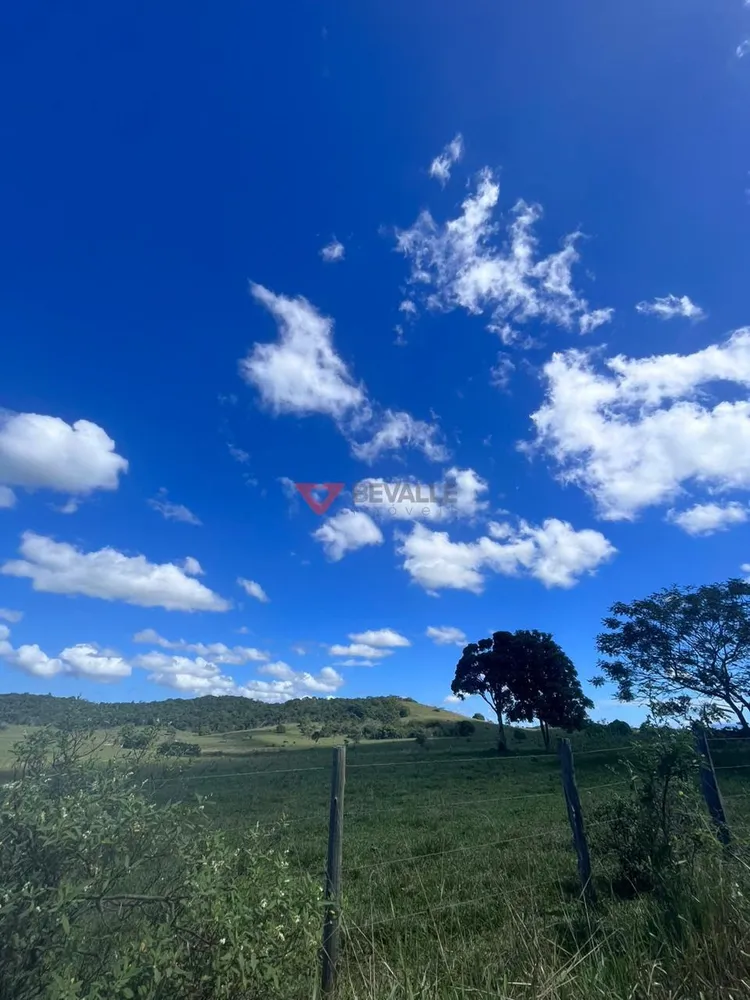 Fazenda, 126 hectares - Foto 34