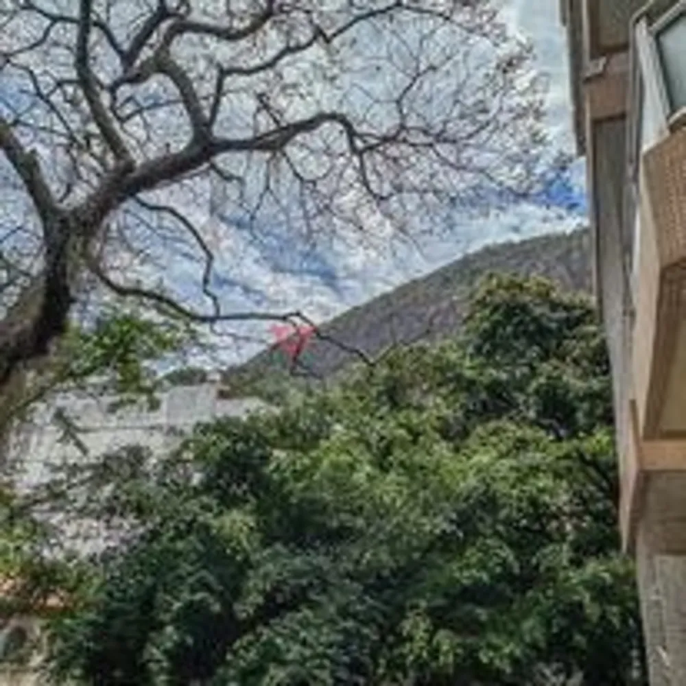 Apartamento, 3 quartos, 103 m² - Foto 50