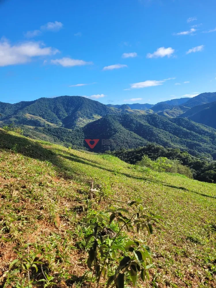 Fazenda, 136 hectares - Foto 64