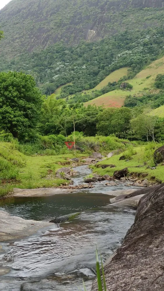 Fazenda, 136 hectares - Foto 63