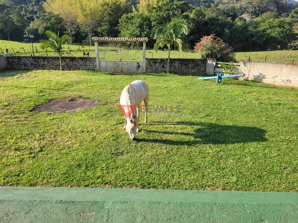 Fazenda, 136 hectares - Foto 89