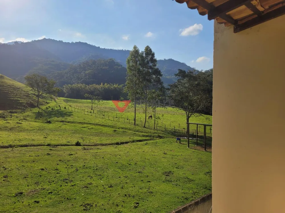 Fazenda, 136 hectares - Foto 10