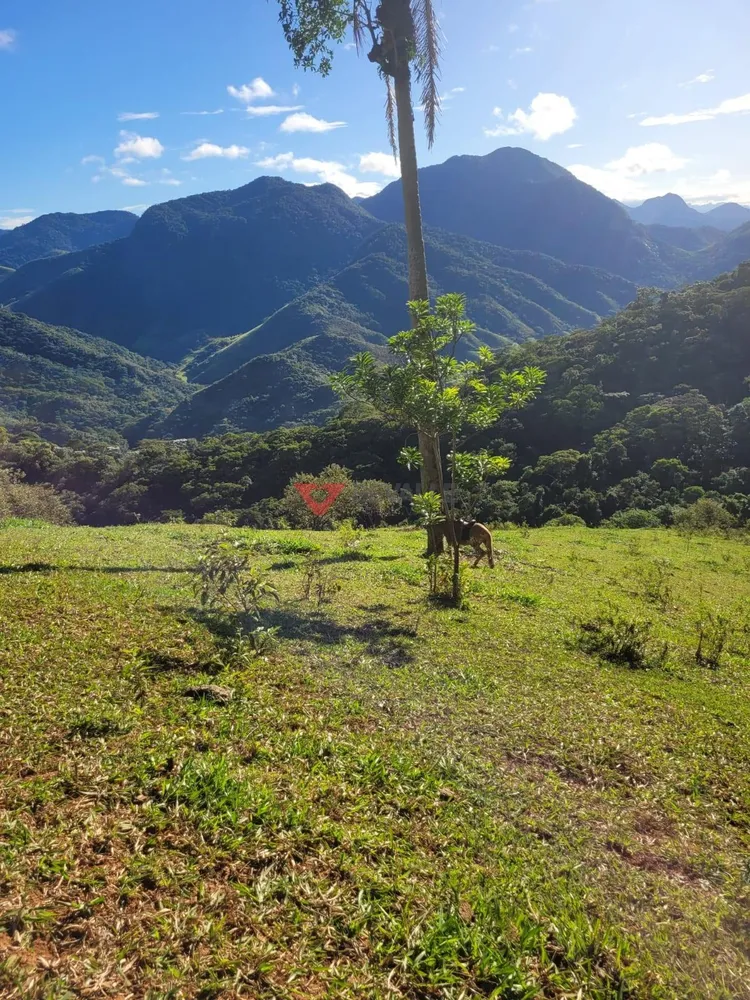 Fazenda, 136 hectares - Foto 65