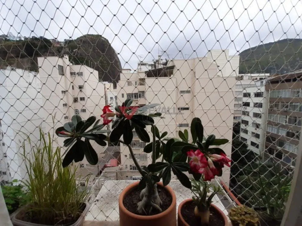 Apartamento, 3 quartos, 105 m² - Foto 19