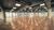 Prédio Inteiro, 3220 m² - Foto 1