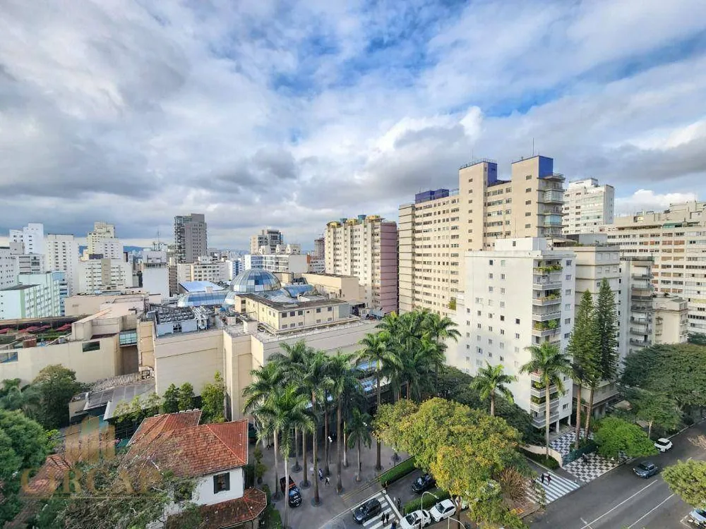 Apartamento, 4 quartos, 330 m² - Foto 5