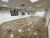 Prédio Inteiro, 3000 m² - Foto 2