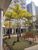 Sala-Conjunto, 40 m² - Foto 4