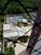 Apartamento, 3 quartos, 243 m² - Foto 15