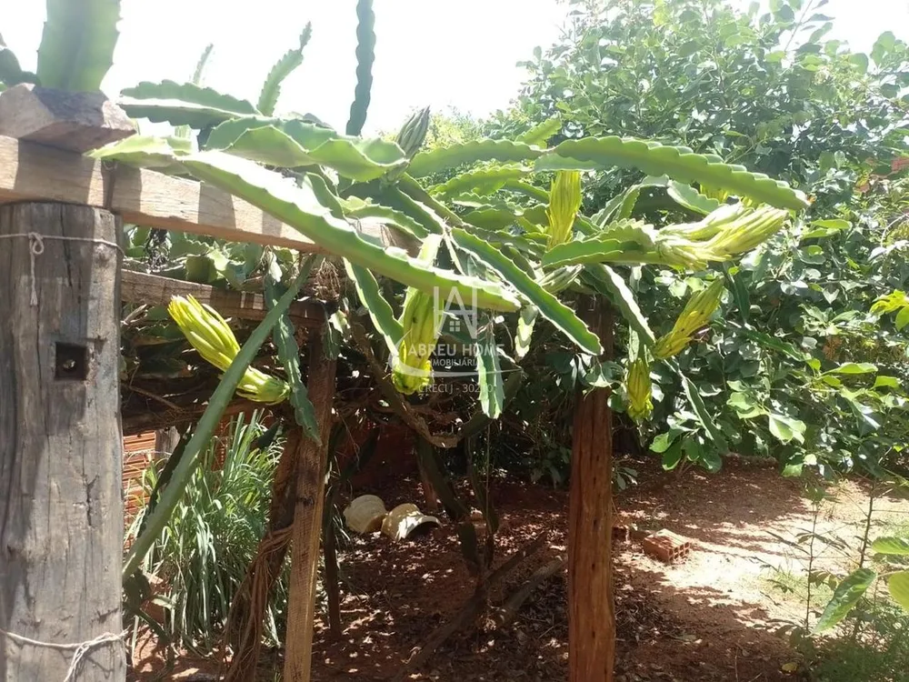 Casa - Foto 5