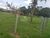 Fazenda-Sítio-Chácara - Foto 14
