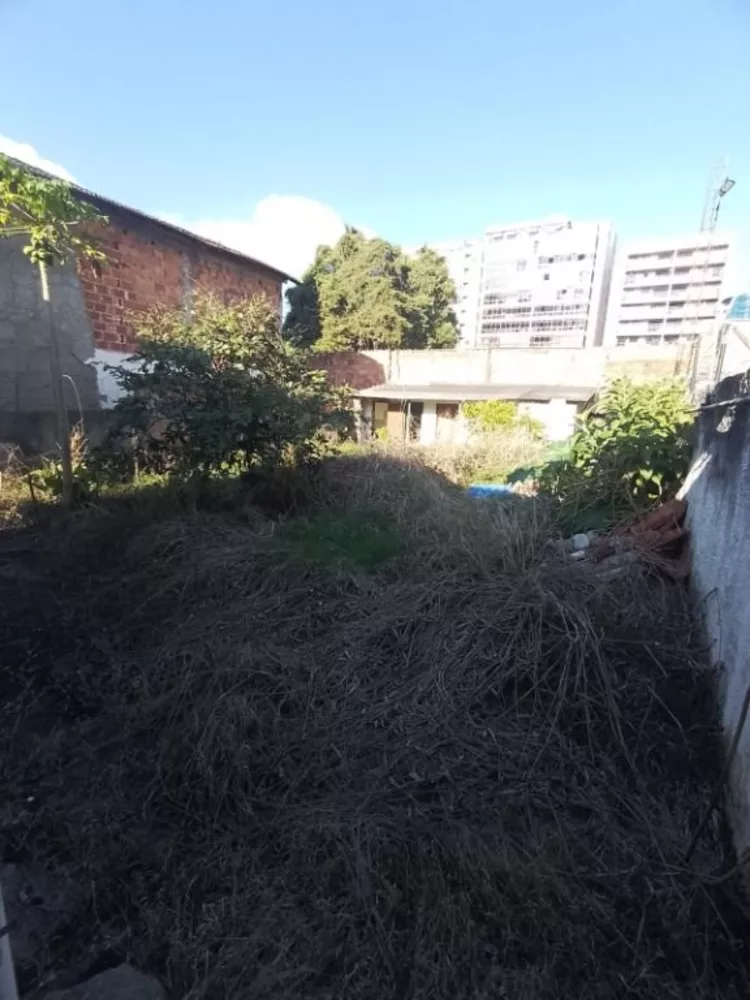 Casa, 5 quartos, 300 m² - Foto 1