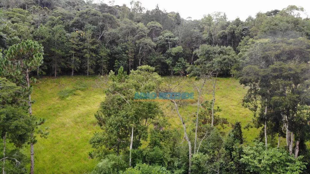 Fazenda, 87 hectares - Foto 19