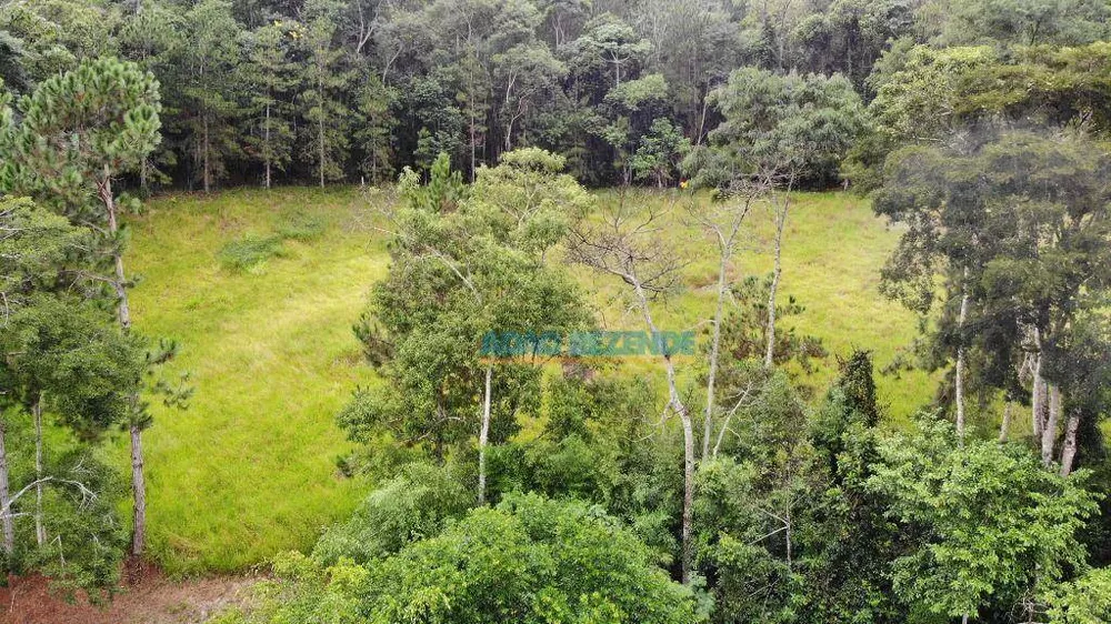 Fazenda, 87 hectares - Foto 18