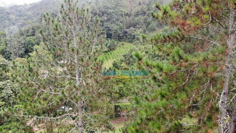 Fazenda, 87 hectares - Foto 16