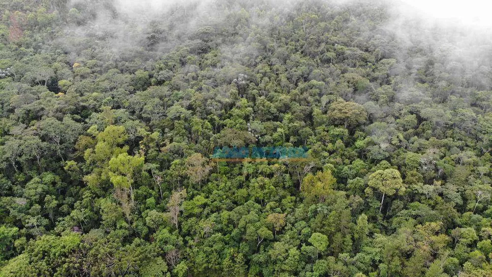 Fazenda, 87 hectares - Foto 5