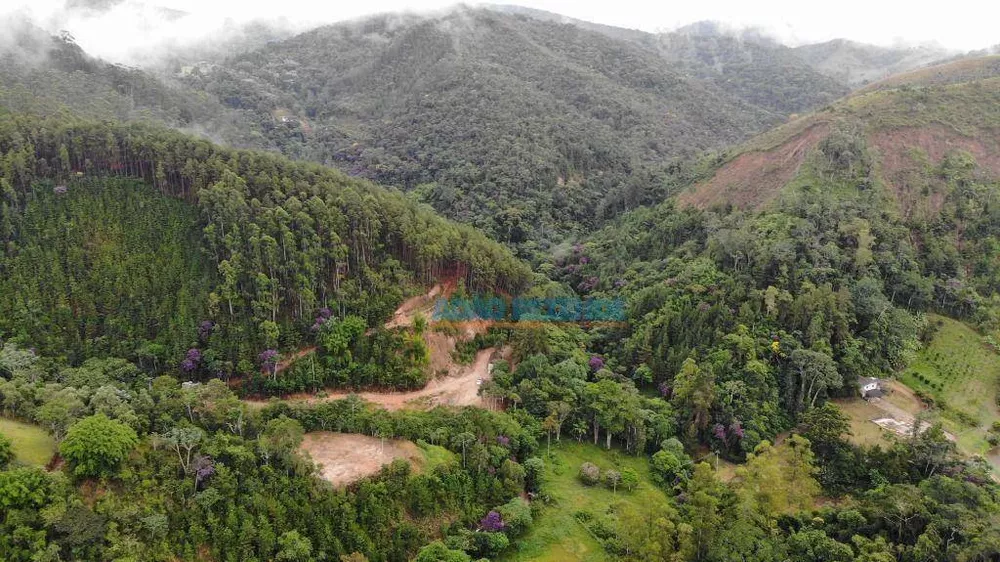 Fazenda, 87 hectares - Foto 11