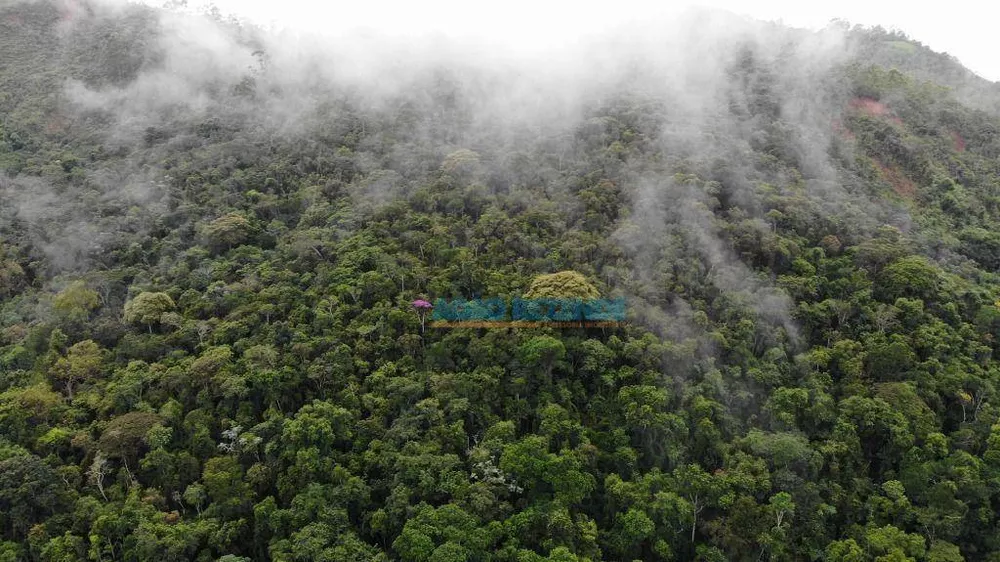 Fazenda, 87 hectares - Foto 13