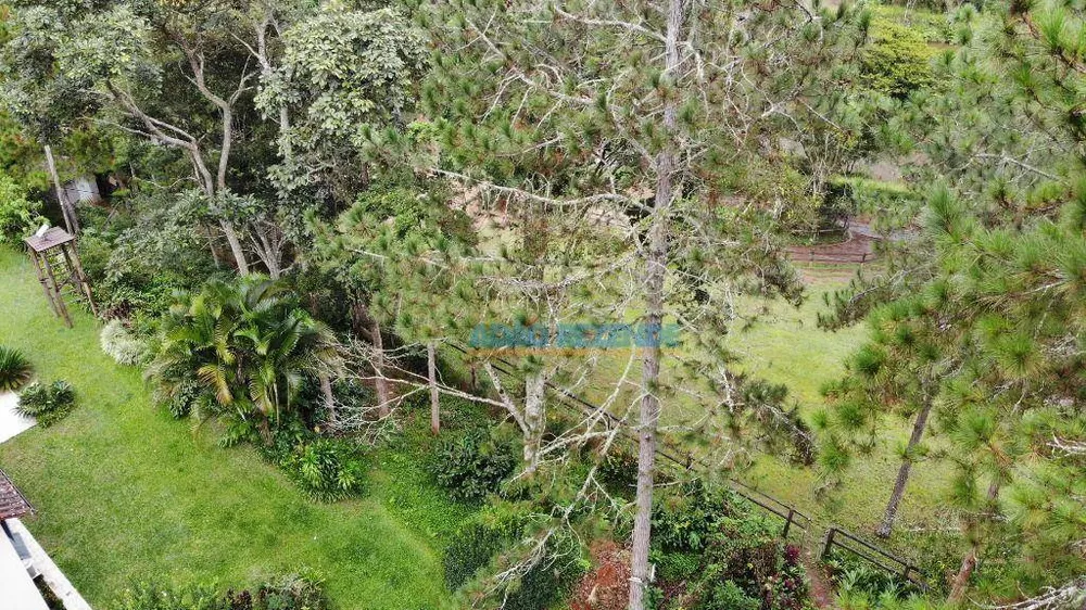 Fazenda, 87 hectares - Foto 15