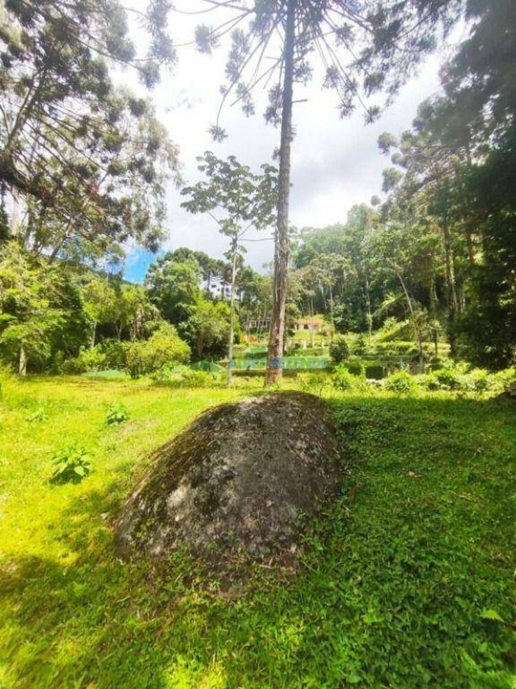 Terreno à venda, 31600M2 - Foto 2