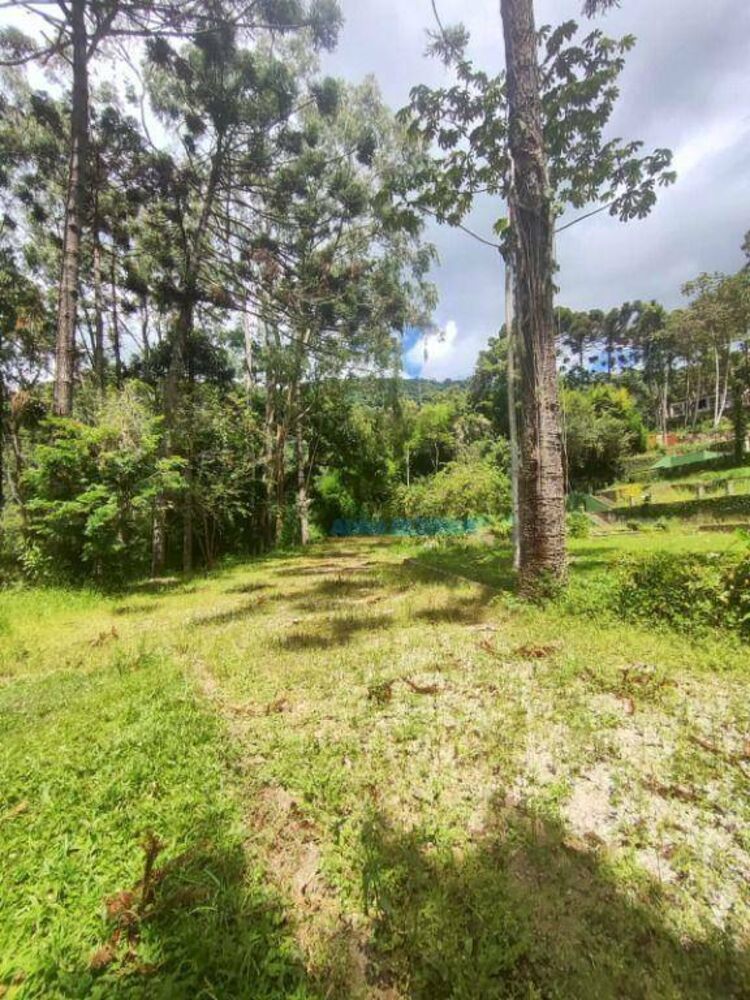 Terreno à venda, 31600M2 - Foto 3
