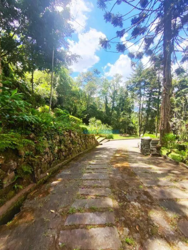 Terreno, 3 hectares - Foto 12