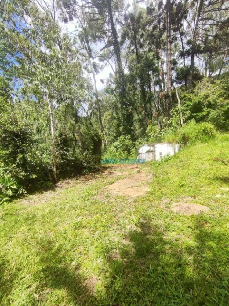 Terreno, 3 hectares - Foto 8