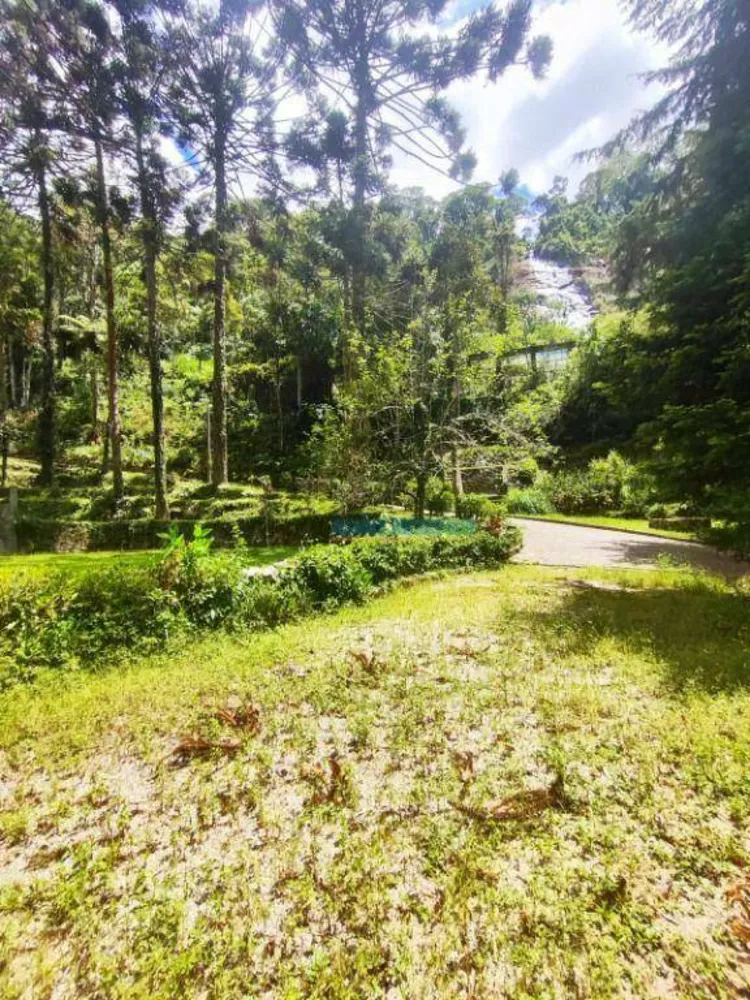 Terreno, 3 hectares - Foto 6