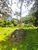 Terreno, 3 hectares - Foto 2