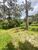 Terreno, 3 hectares - Foto 3