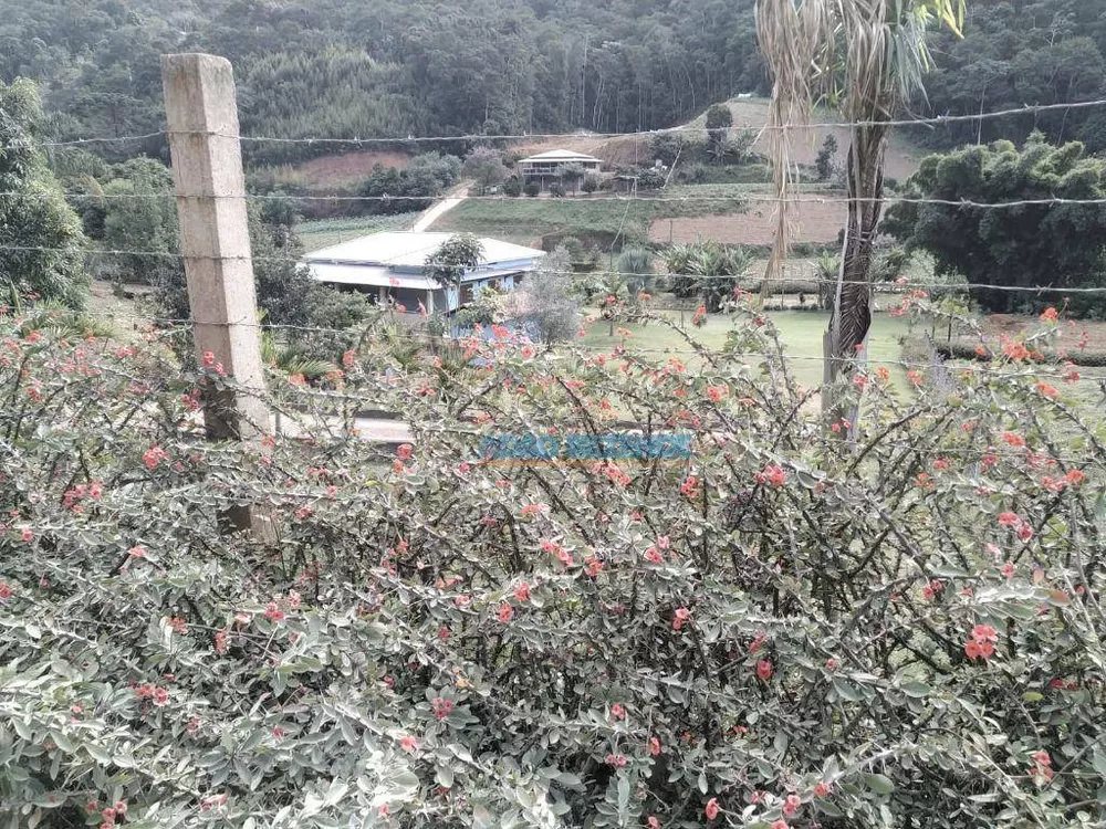 Chácara, 3 quartos, 1 hectares - Foto 31