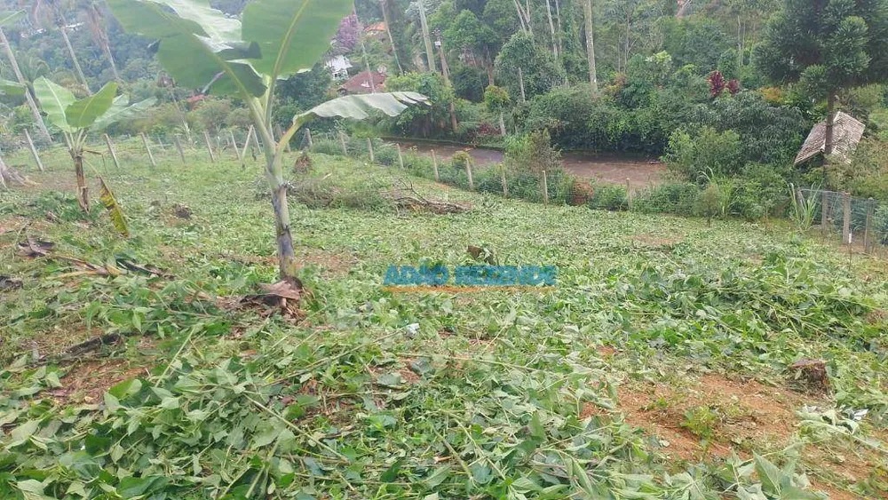 Loteamento e Condomínio, 1650 m² - Foto 3