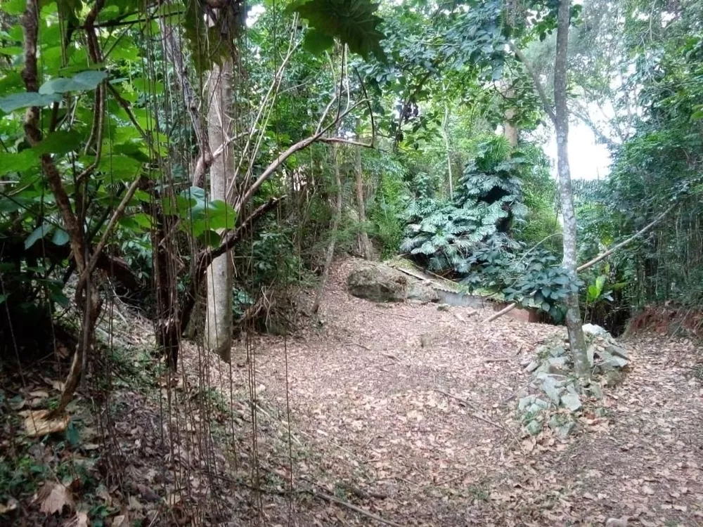Terreno, 1964 m² - Foto 2