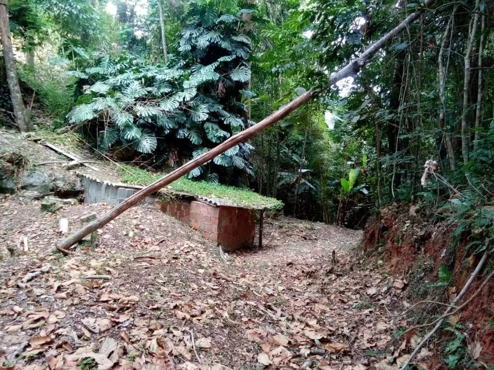 Terreno, 1964 m² - Foto 3