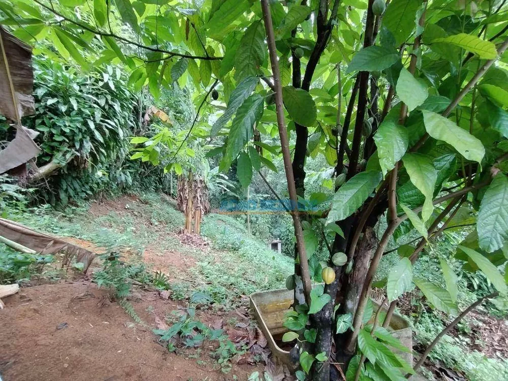 Casa, 3 quartos, 99 m² - Foto 30