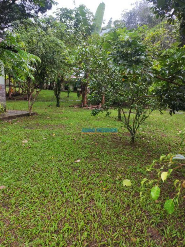 Sítio, 3 quartos, 4000 m² - Foto 19